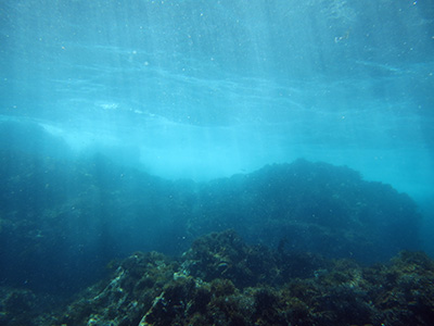 夏色の海 夏色の海