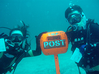 IOP����ݥ��Ȥˤ�