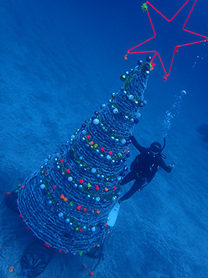 IOP水中クリスマスツリー IOP水中クリスマスツリー