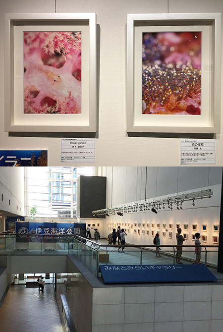 IOP写真展 IOP写真展
