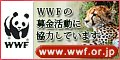 WWFジャパン